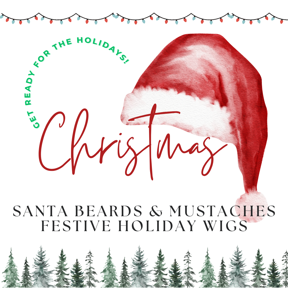 Holiday Wigs / Santa Beards & Mustaches