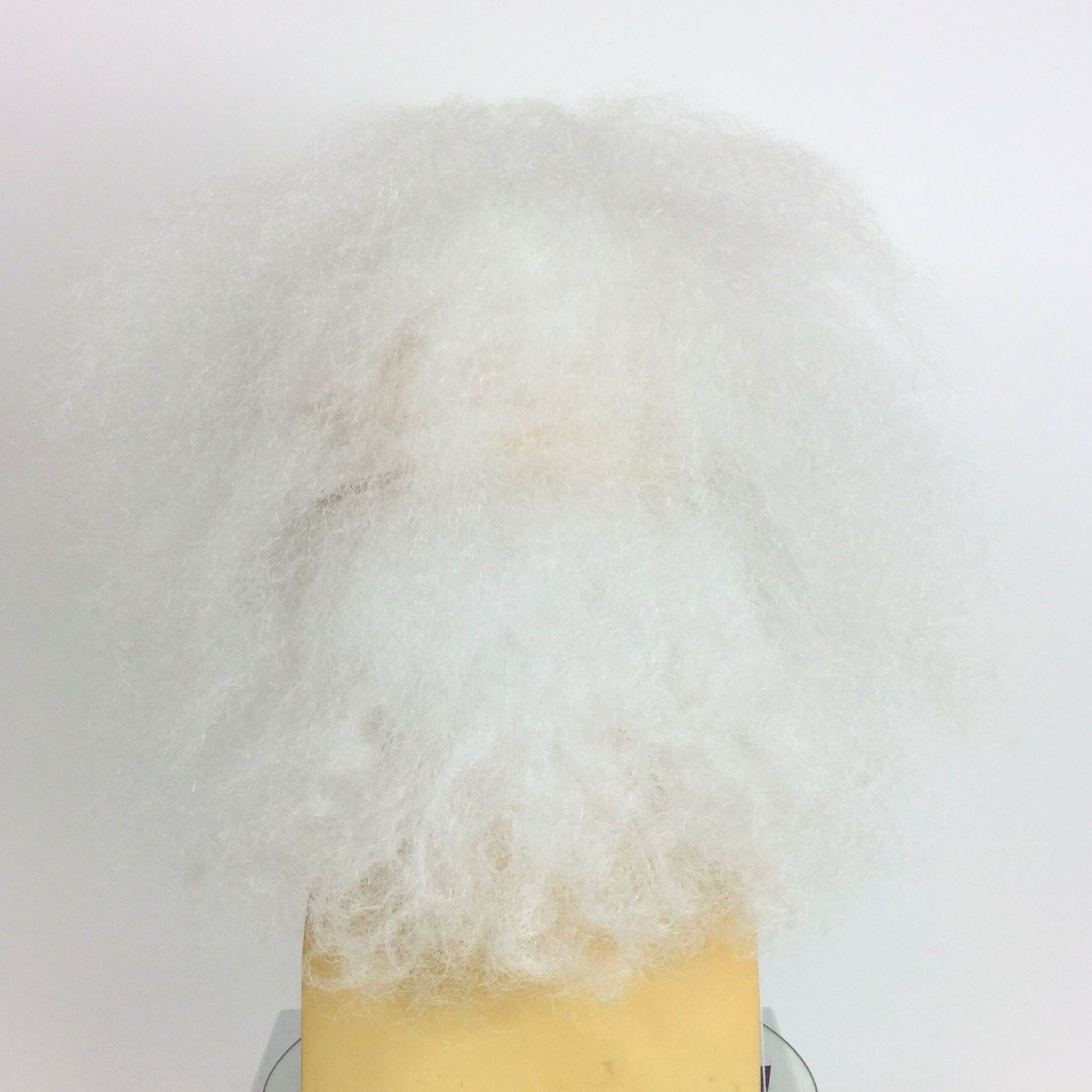 DOC BROWN Inspired Theatrical Bald Cap Wig