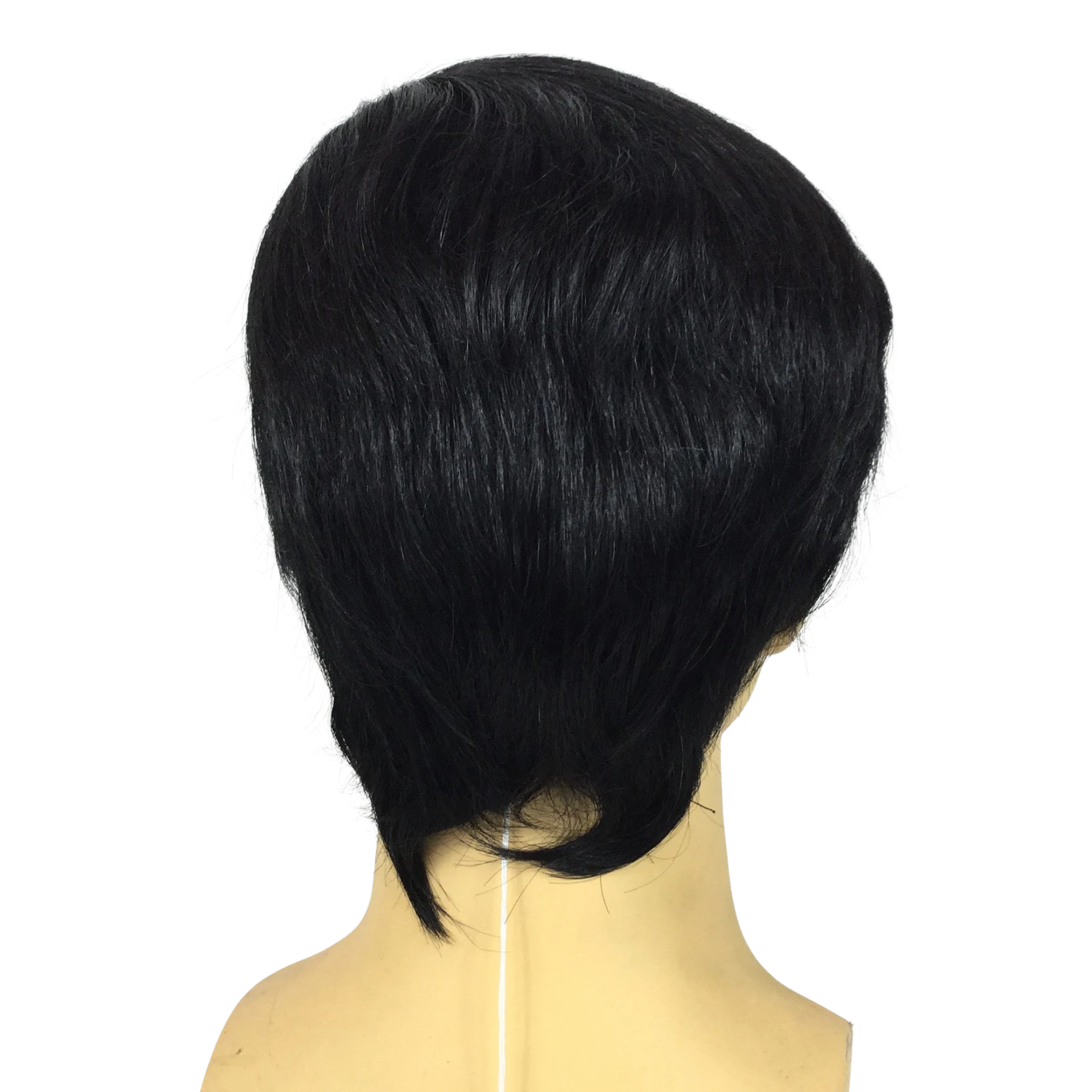GOMEZ ADDAMS Style Theatrical Wig & Mustache Set