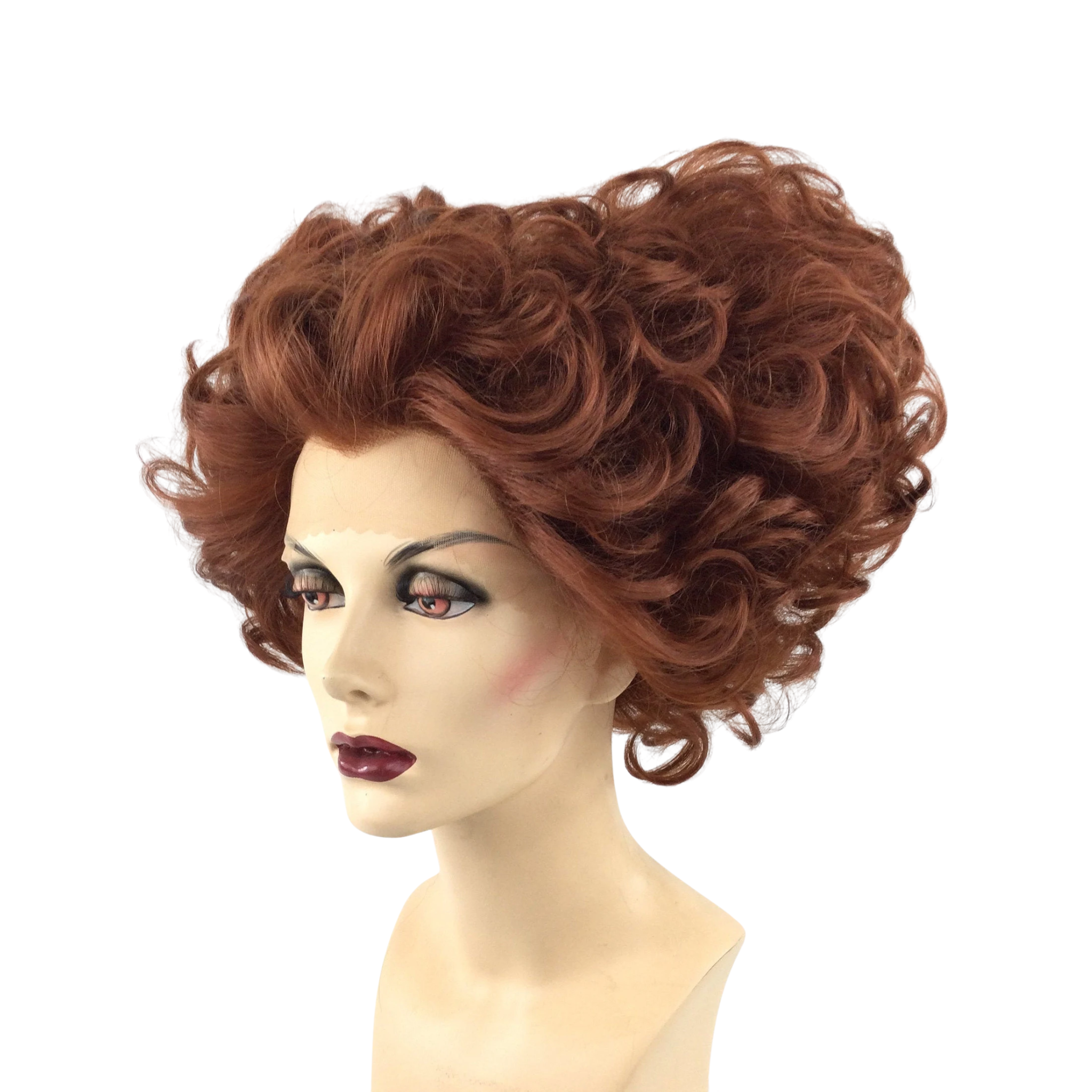 Professional LACE-FRONT WINIFRED SANDERSON Wig