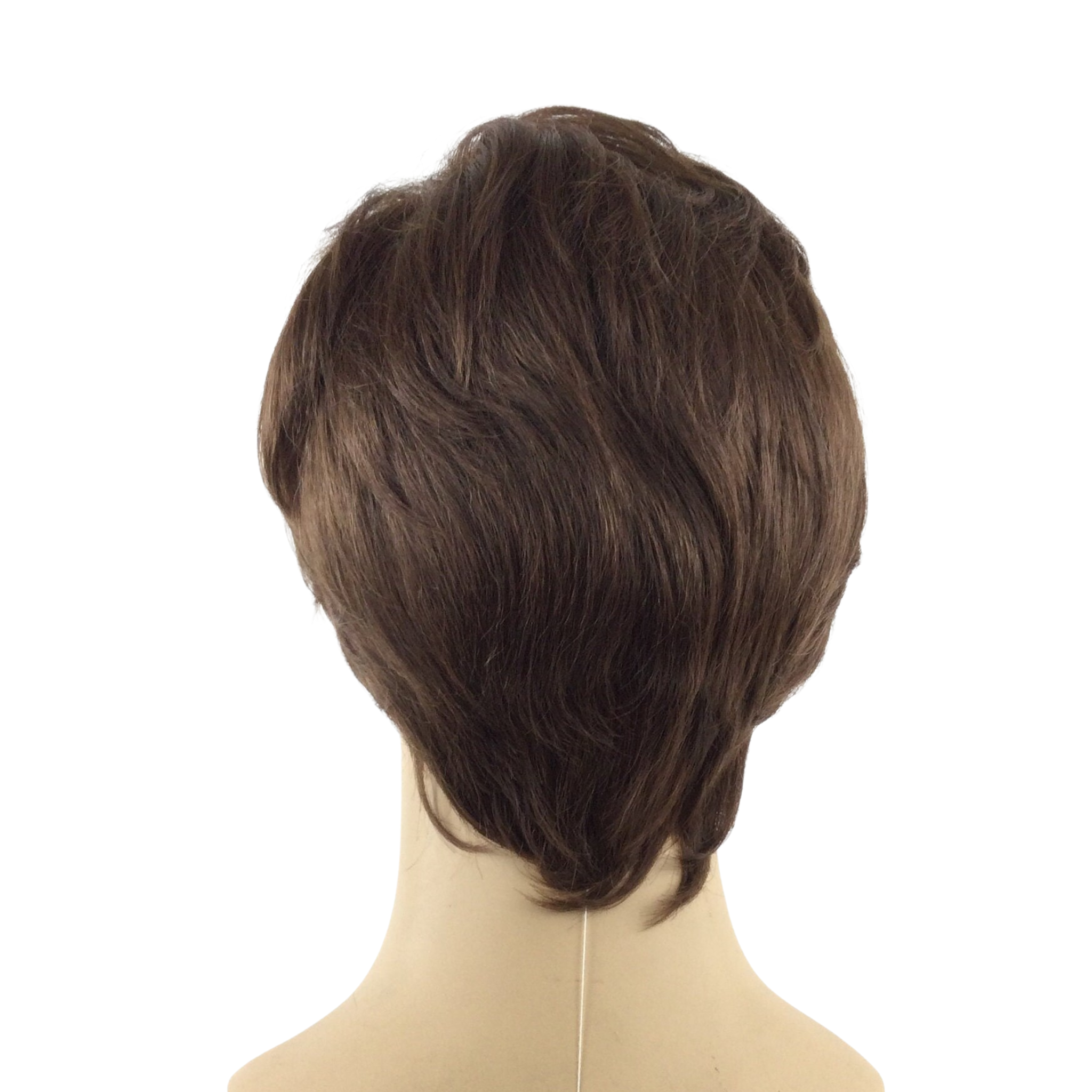 RON BURGUNDY Deluxe Theatrical Wig & Mustache Set