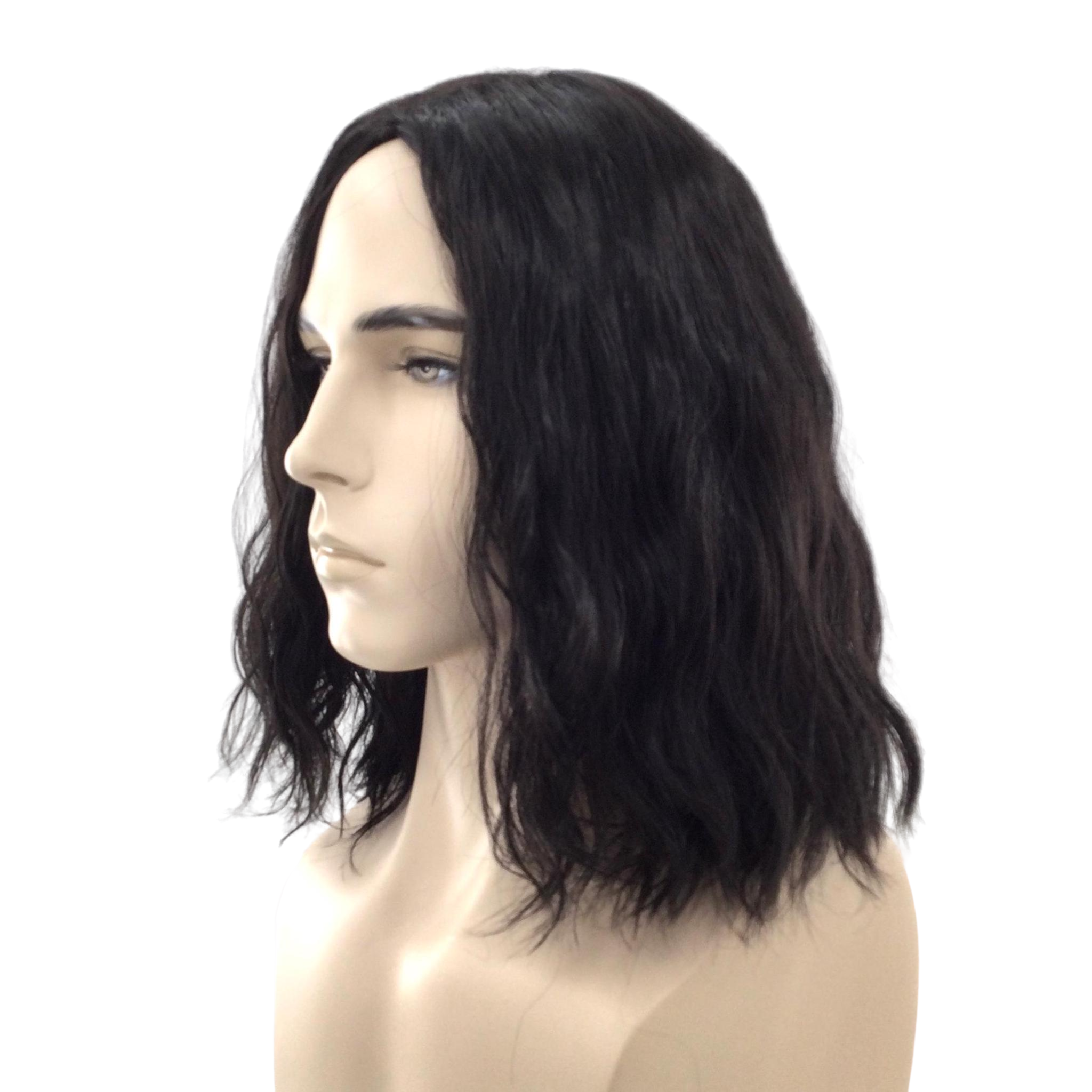 MAGIC PROFESSOR Style Theatrical Costume Wig