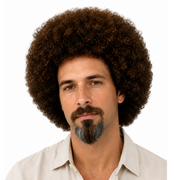 PAINTER BOB Theatrical Costume Wig & Mustache/Goatee Set