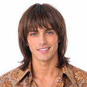 SONNY BONO Theatrical Costume Wig