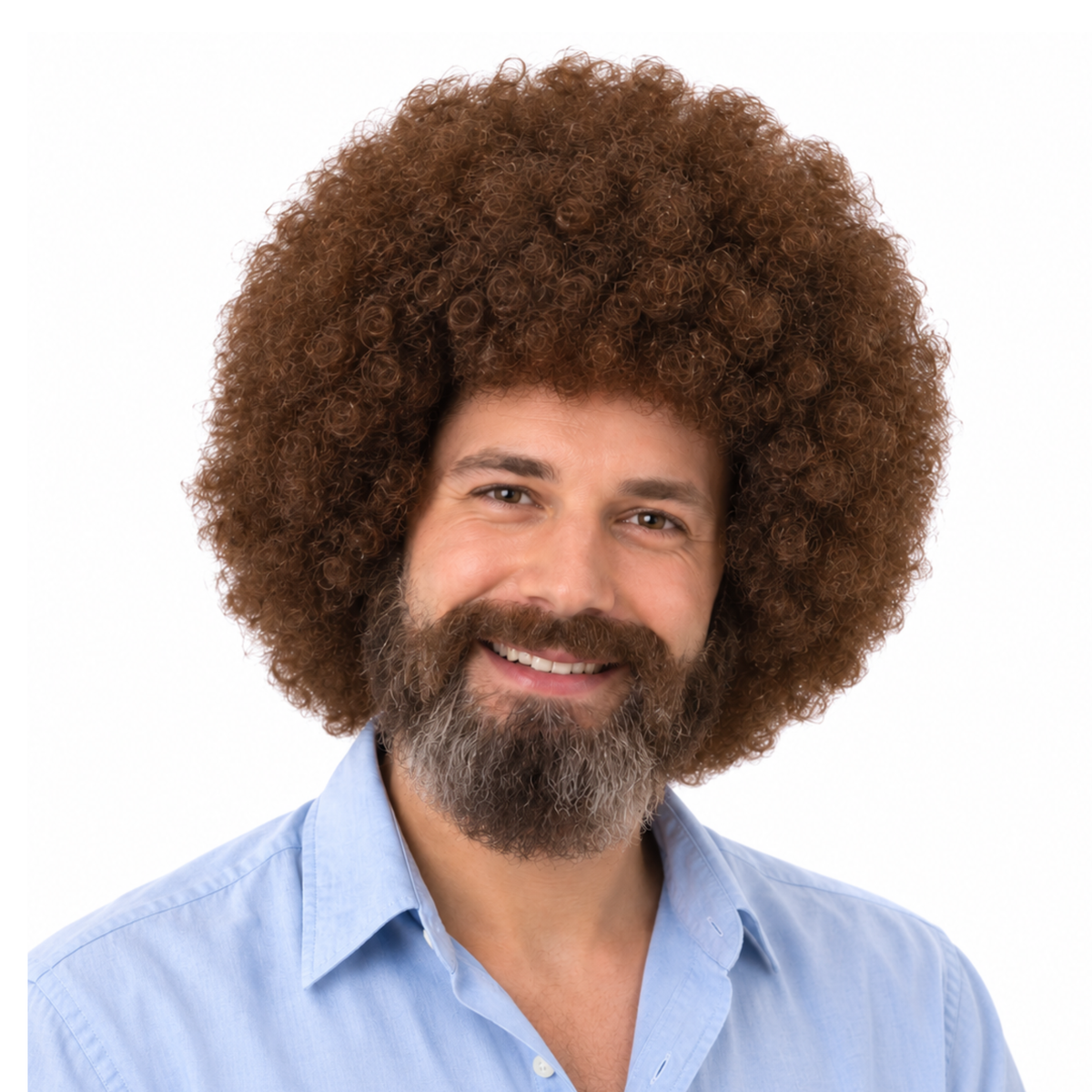PAINTER BOB Theatrical Costume Wig & Mustache/Beard Set