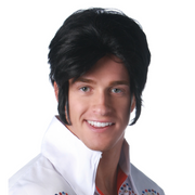 1950'S Rock n Roller Theatrical Costume Wig