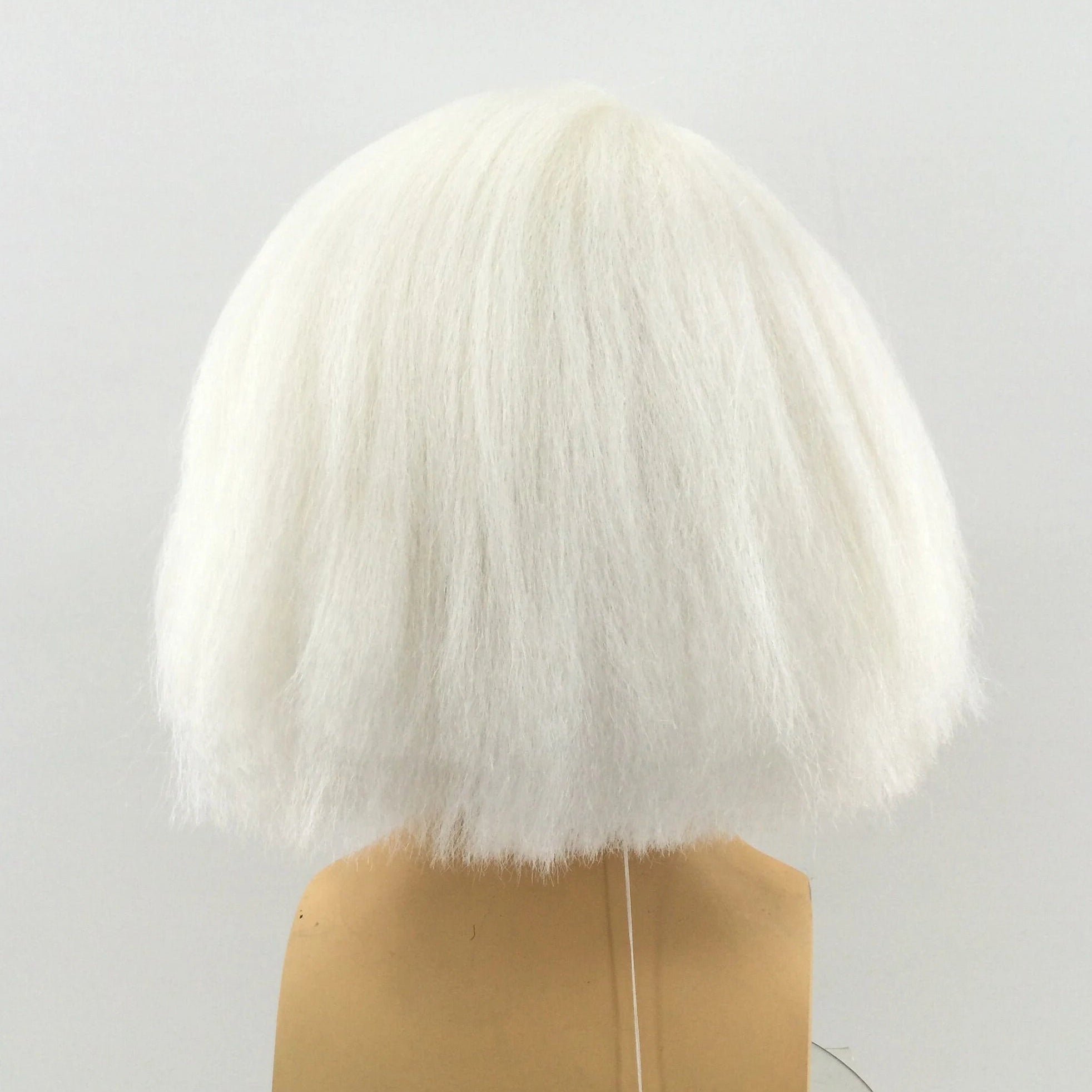 ARTIST ANDY Theatrical Costume Wig